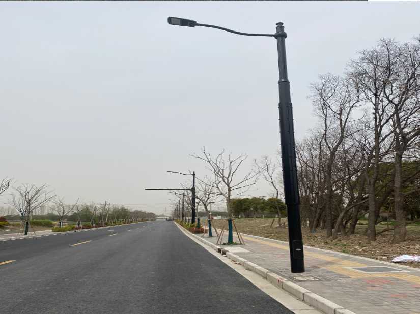 仪陇县上海综合杆 太阳能路灯工程